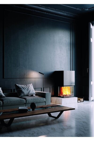 Kamineinsatz Vuur Drie 60 Ambiente Foto