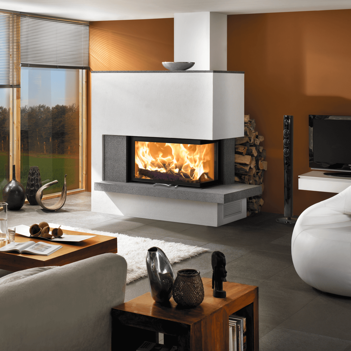 Kamineinsatz 89x49x57 S 2.0 Ambiente Foto